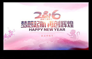 2016年年会，，，，，，，，妄想起航-再创鲜丽